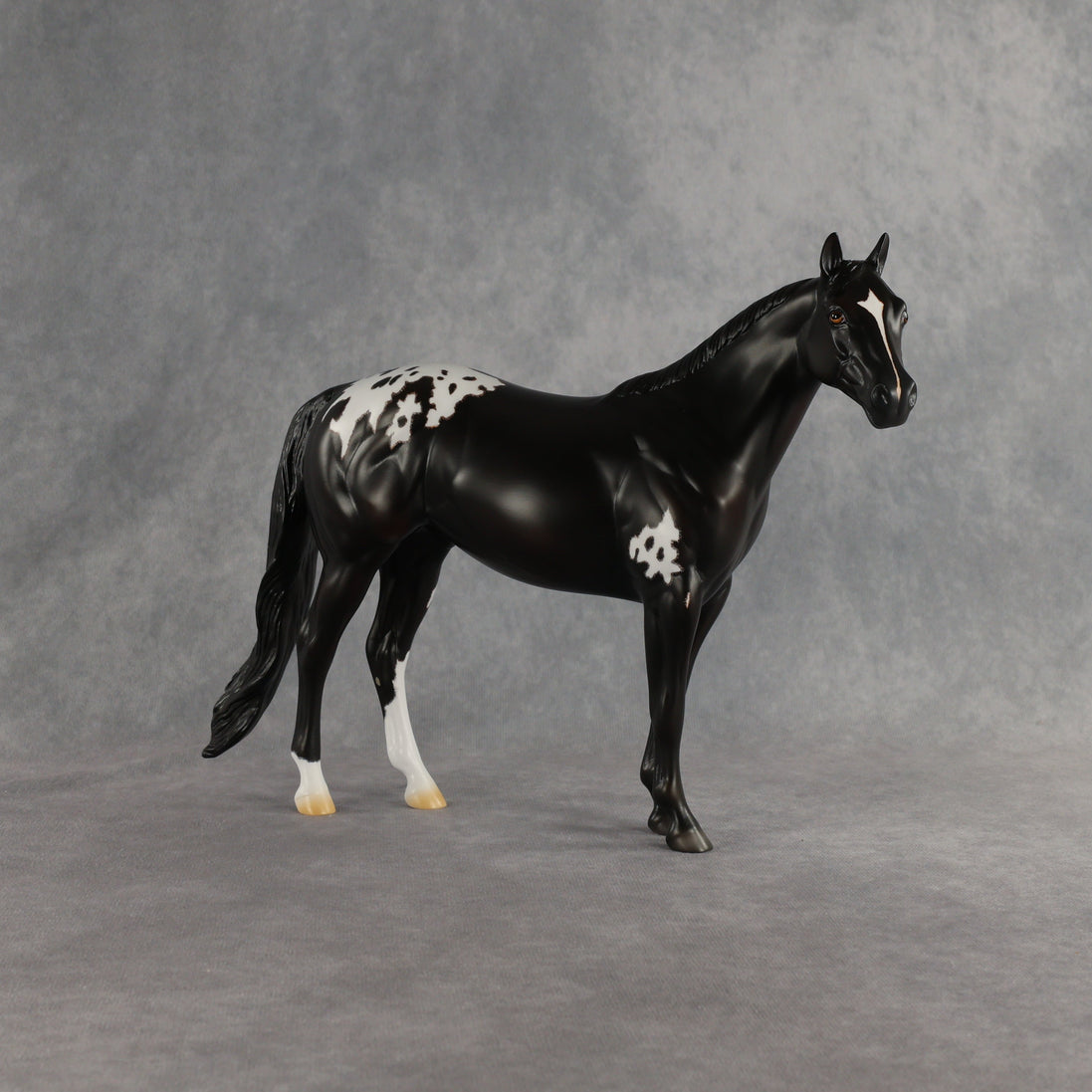 Sheldon OOAK Ideal Stock Horse by Madi Wiseman EQ26