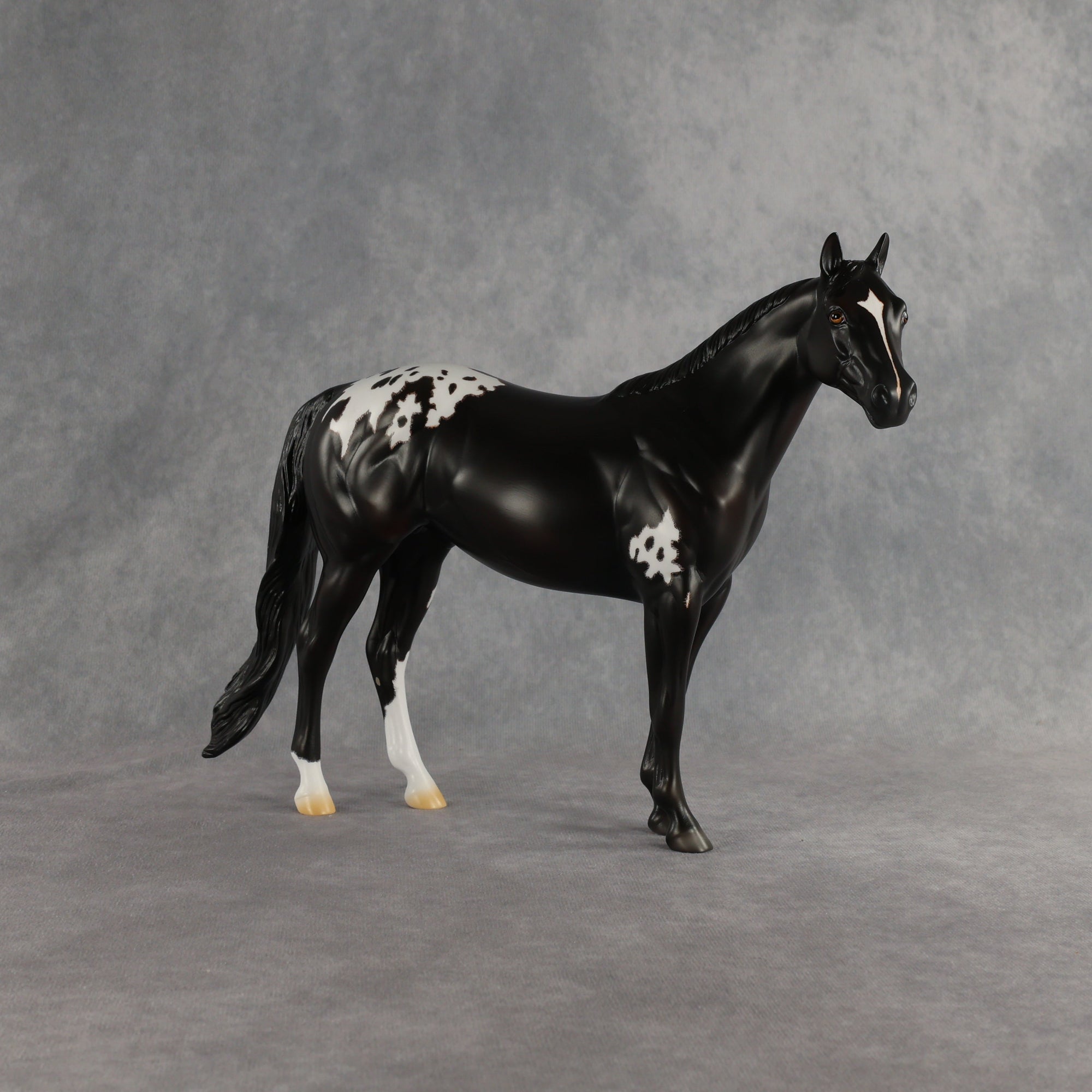 Sheldon OOAK Ideal Stock Horse by Madi Wiseman EQ26