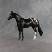 Sheldon OOAK Ideal Stock Horse by Madi Wiseman EQ26