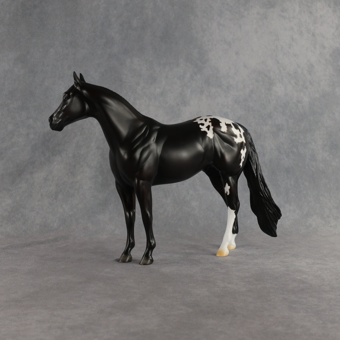 Sheldon OOAK Ideal Stock Horse by Madi Wiseman EQ26