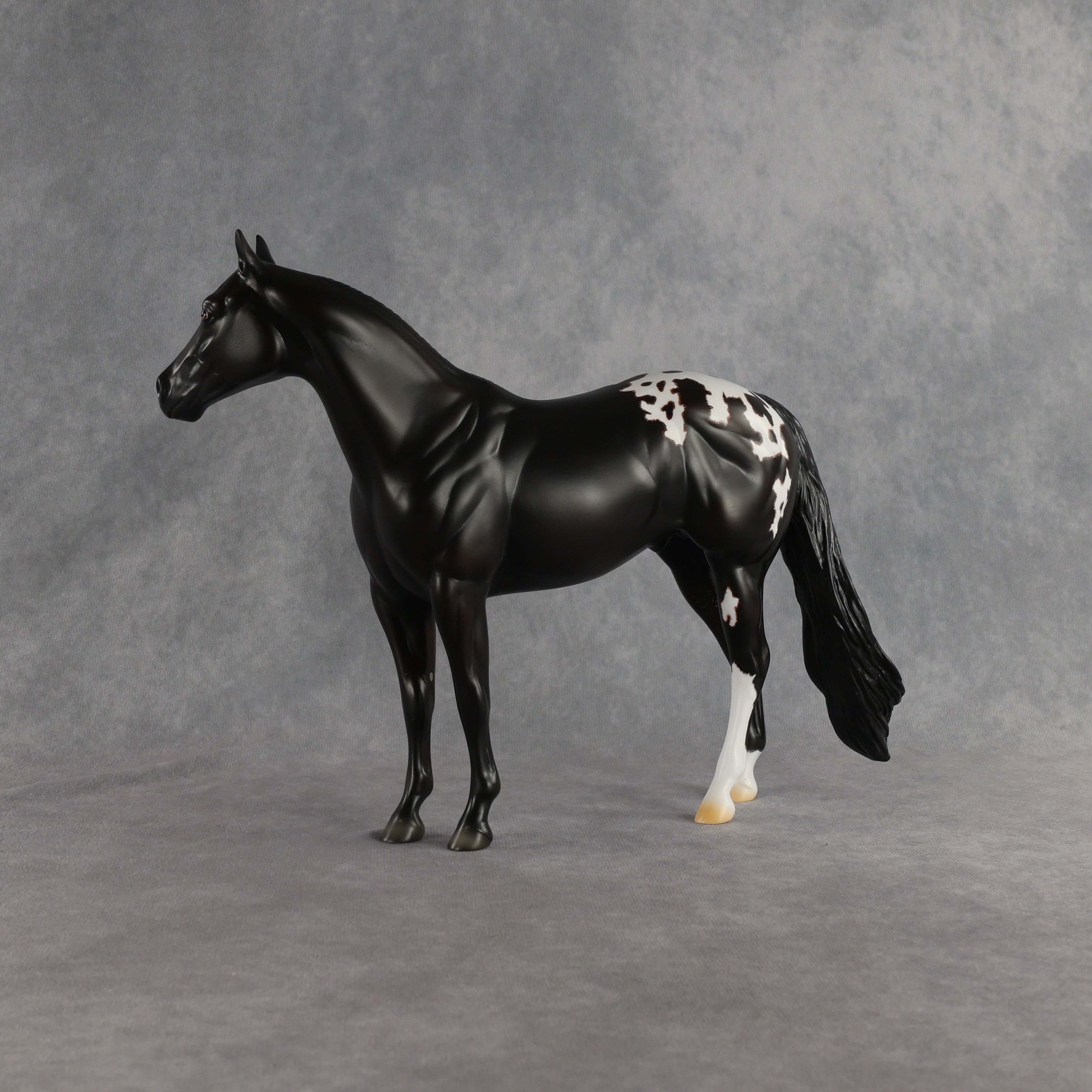 Sheldon OOAK Ideal Stock Horse by Madi Wiseman EQ26