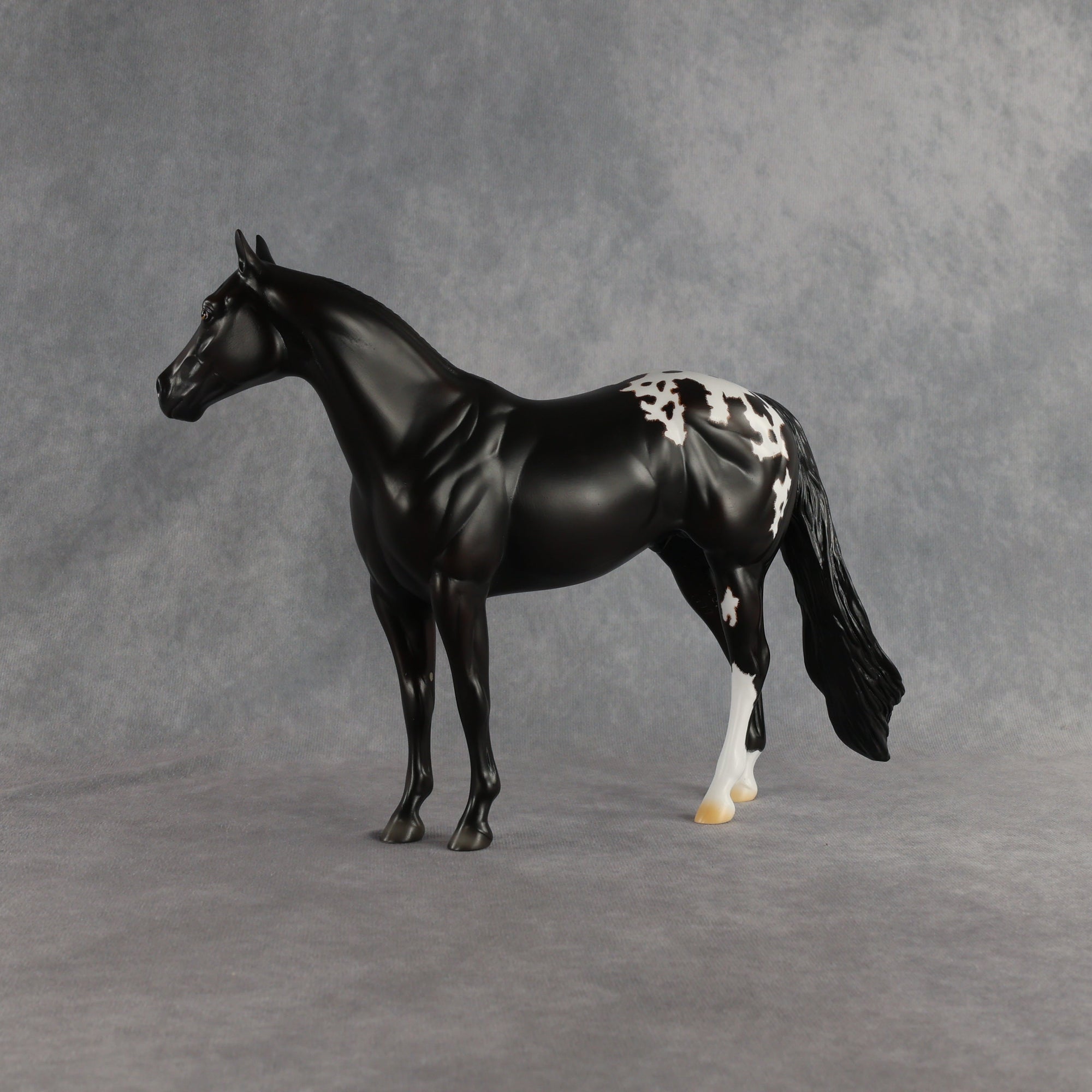 Sheldon OOAK Ideal Stock Horse by Madi Wiseman EQ26