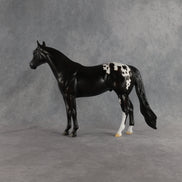 Sheldon OOAK Ideal Stock Horse by Madi Wiseman EQ26