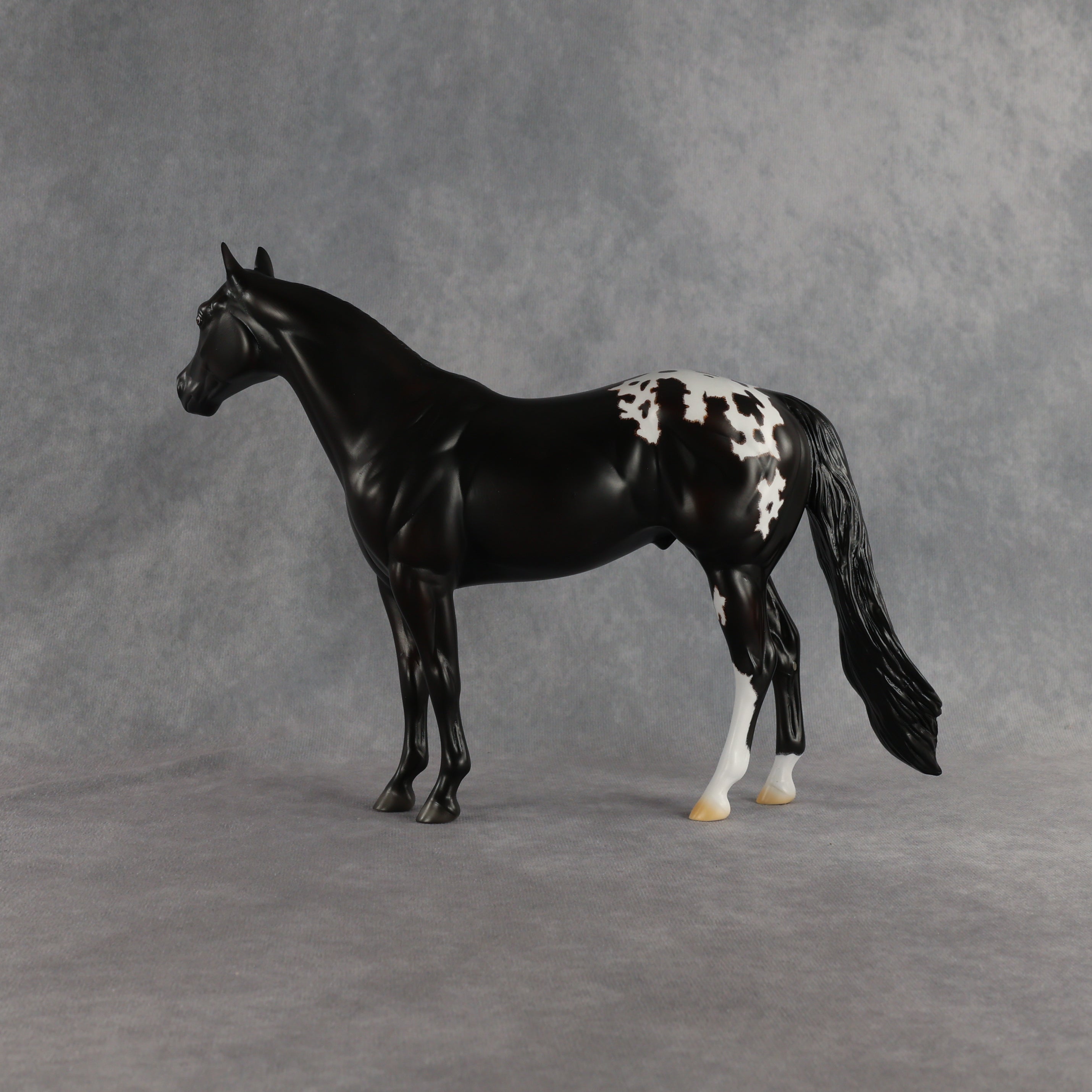 Sheldon OOAK Ideal Stock Horse by Madi Wiseman EQ26