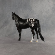 Sheldon OOAK Ideal Stock Horse by Madi Wiseman EQ26