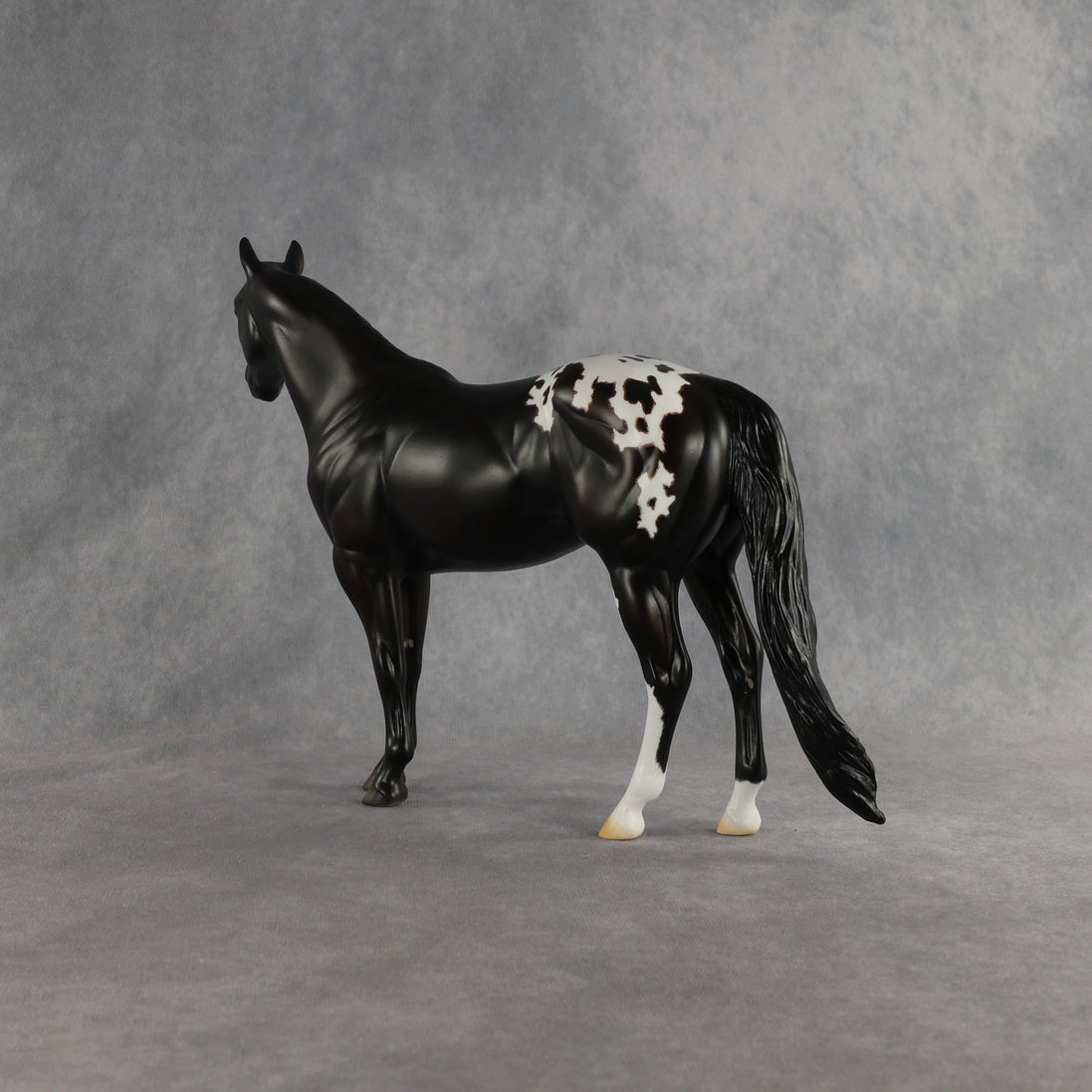 Sheldon OOAK Ideal Stock Horse by Madi Wiseman EQ26