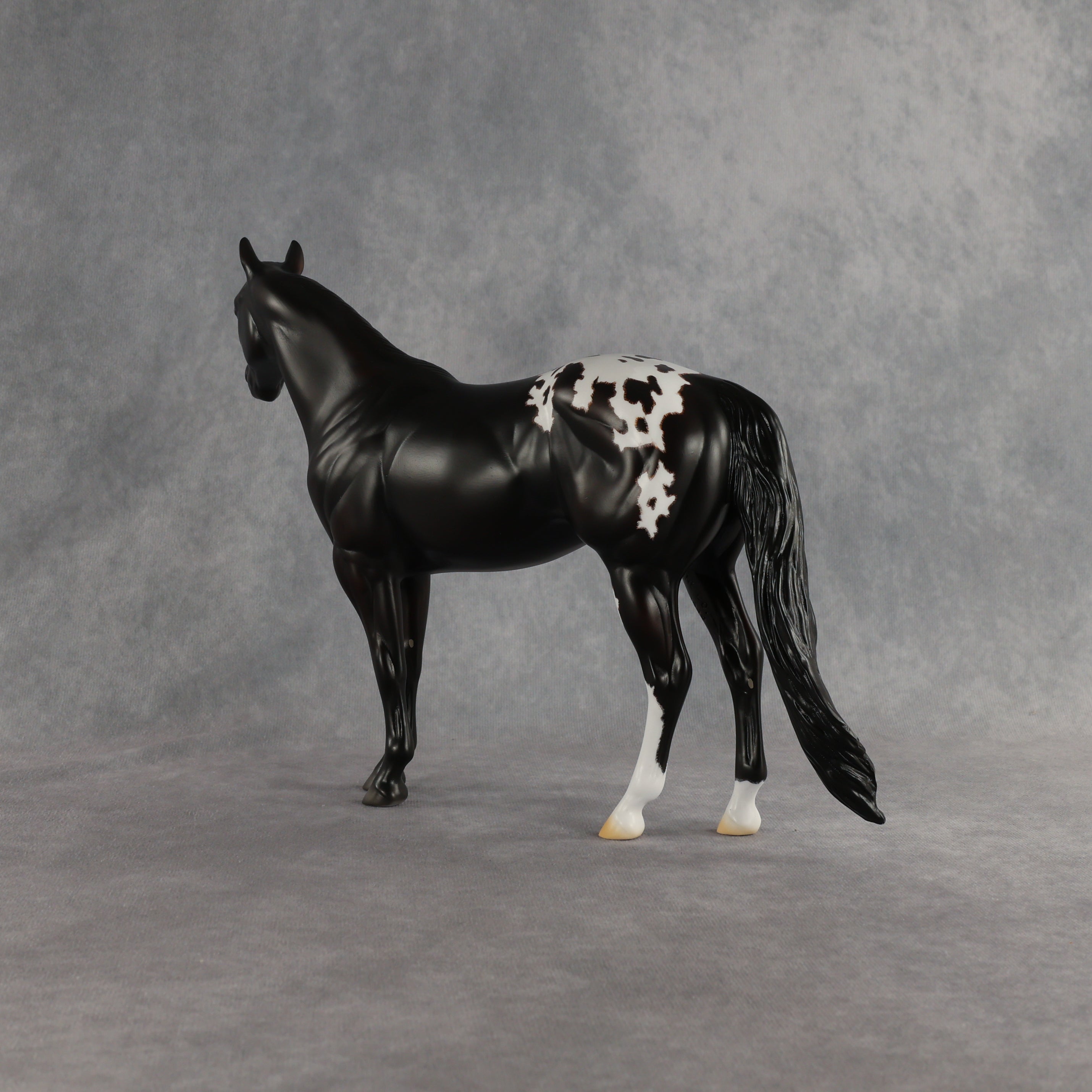 Sheldon OOAK Ideal Stock Horse by Madi Wiseman EQ26