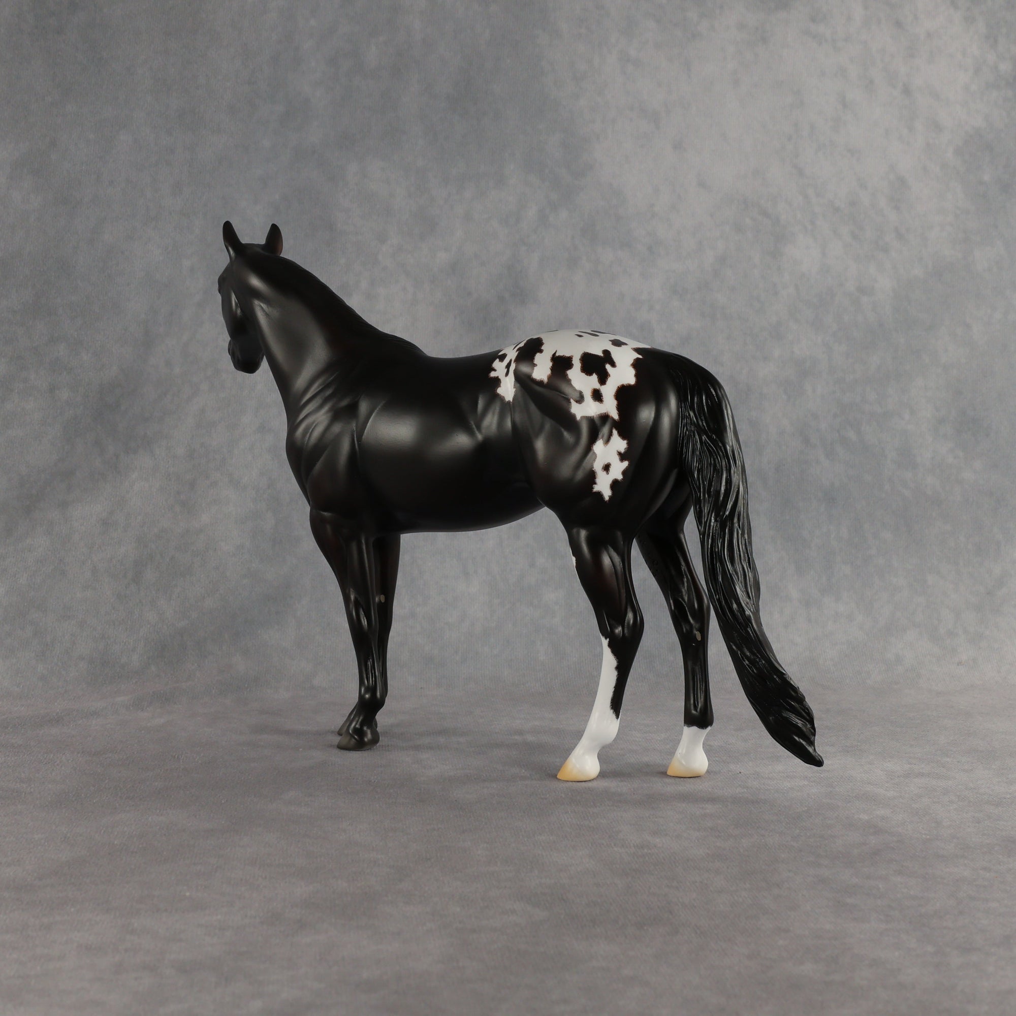 Sheldon OOAK Ideal Stock Horse by Madi Wiseman EQ26