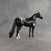 Sheldon OOAK Ideal Stock Horse by Madi Wiseman EQ26