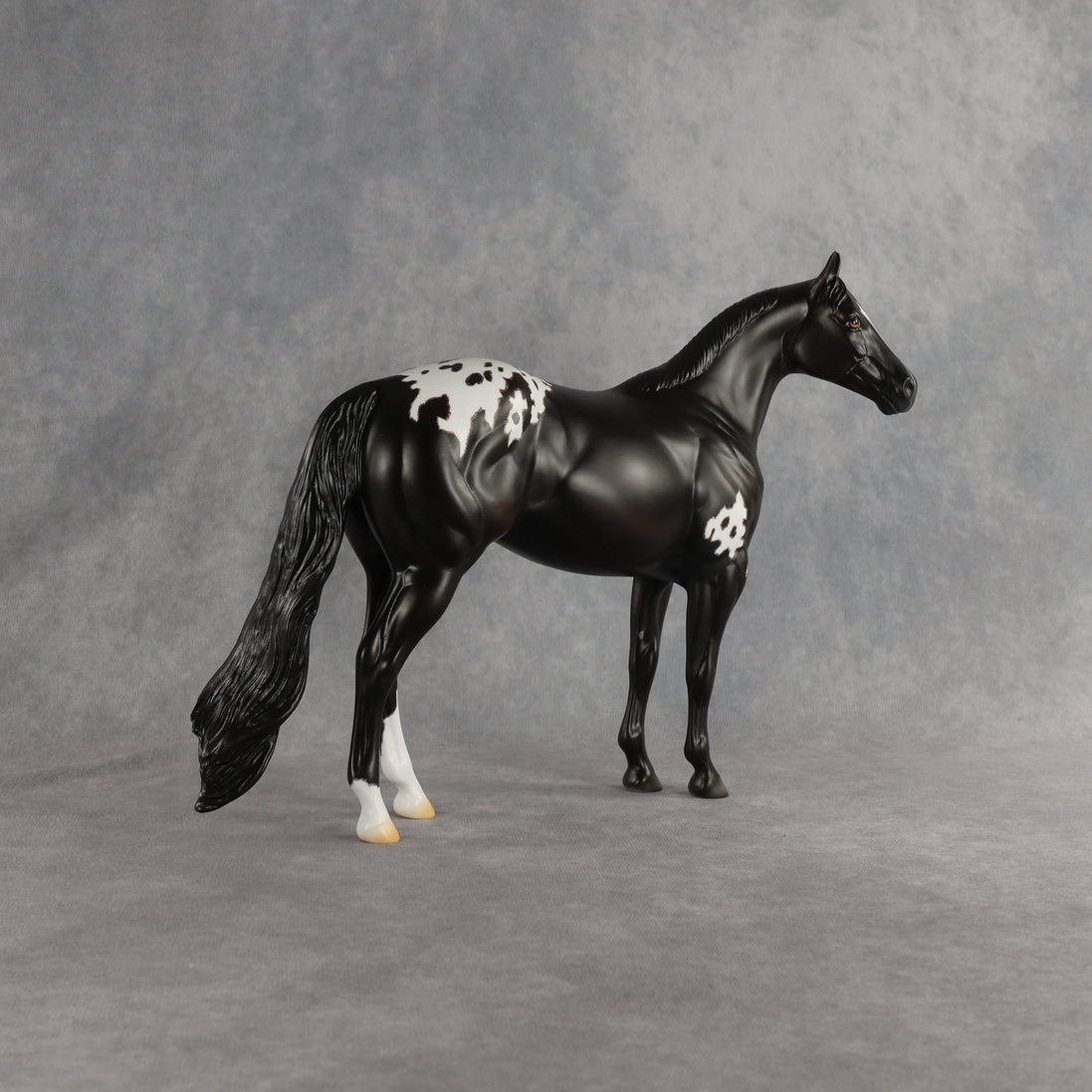Sheldon OOAK Ideal Stock Horse by Madi Wiseman EQ26