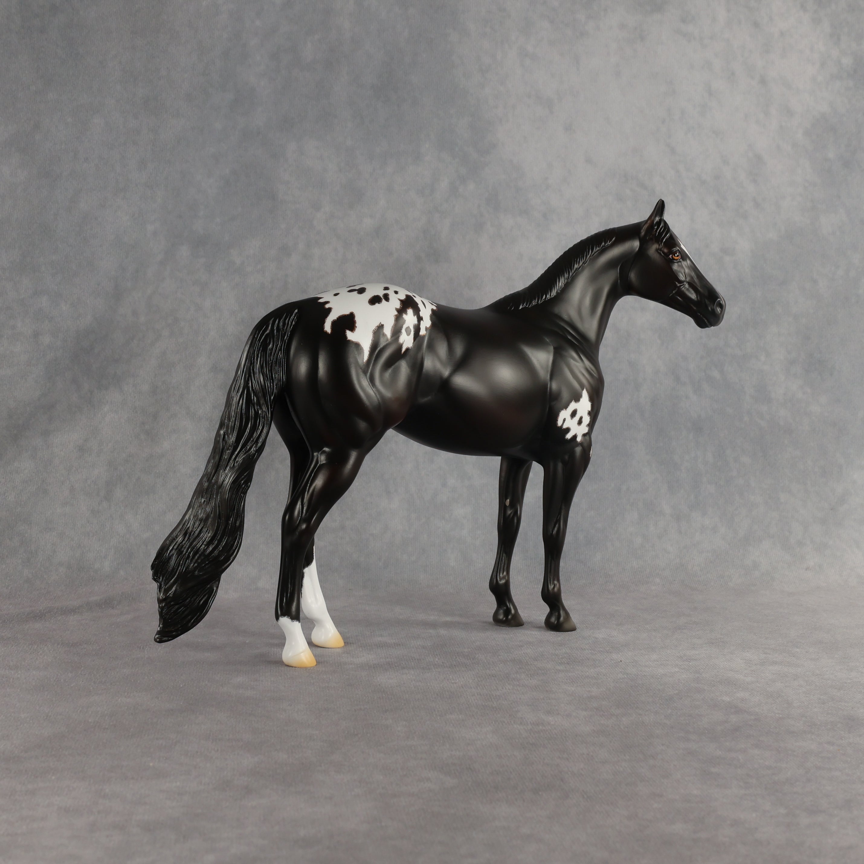 Sheldon OOAK Ideal Stock Horse by Madi Wiseman EQ26