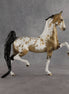 Shiloh OOAK Saddlebred by Dawn Quick SHCF26
