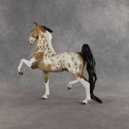 Shiloh OOAK Saddlebred by Dawn Quick SHCF26