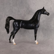 Shock to the System OOAK FCM Arabian Stallion by Tegan Davis Best Offer 10.6.2026