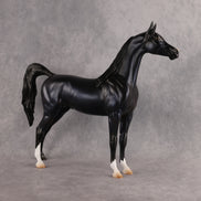 Shock to the System OOAK FCM Arabian Stallion by Tegan Davis Best Offer 10.6.2026