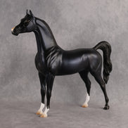 Shock to the System OOAK FCM Arabian Stallion by Tegan Davis Best Offer 10.6.2026