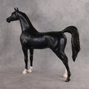 Shock to the System OOAK FCM Arabian Stallion by Tegan Davis Best Offer 10.6.2026