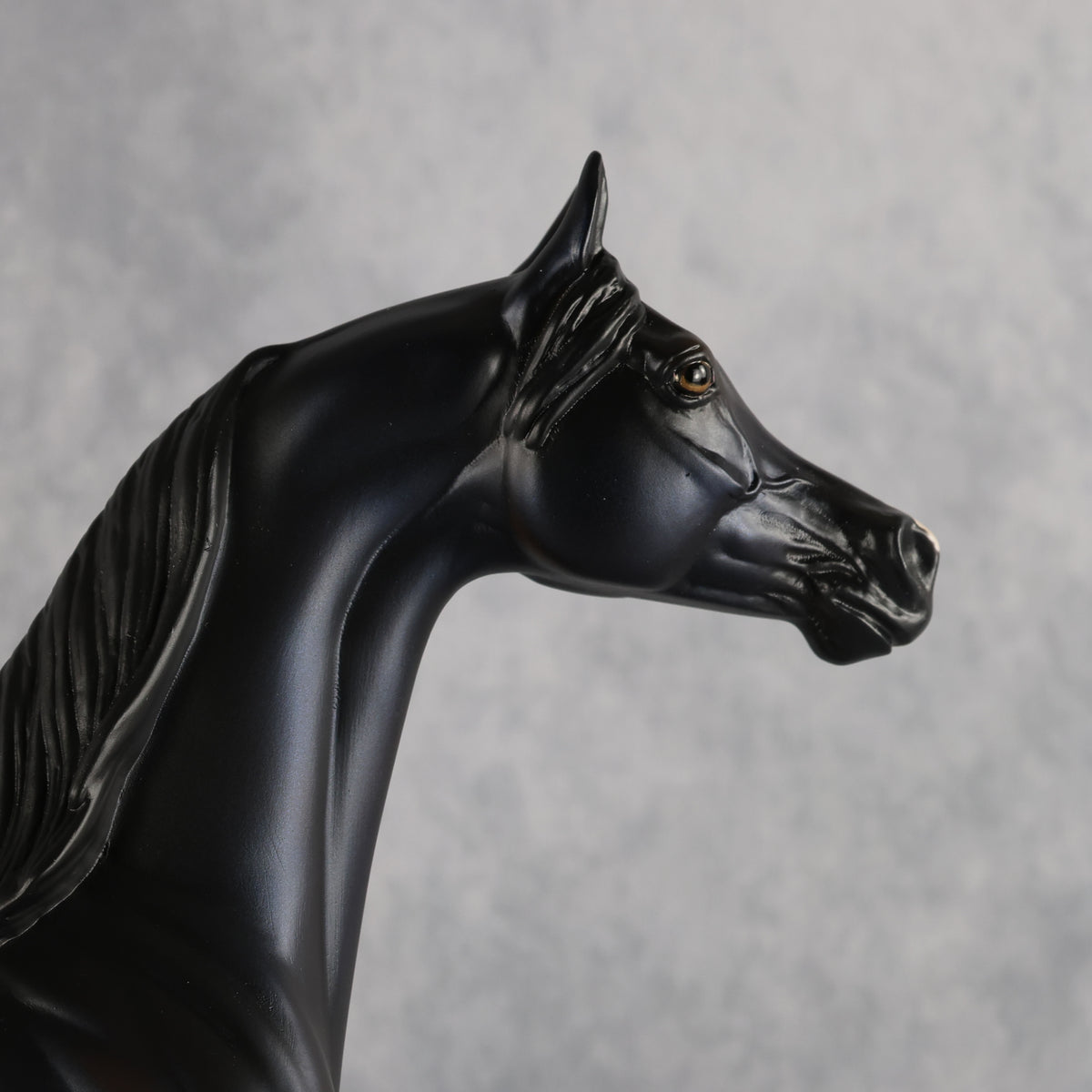 Shock to the System OOAK FCM Arabian Stallion by Tegan Davis Best Offer 10.6.2026