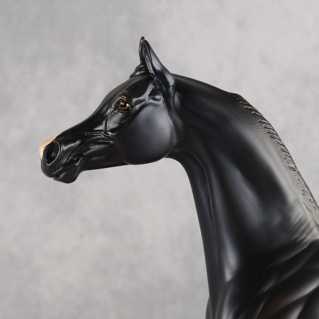 Shock to the System OOAK FCM Arabian Stallion by Tegan Davis Best Offer 10.6.2026