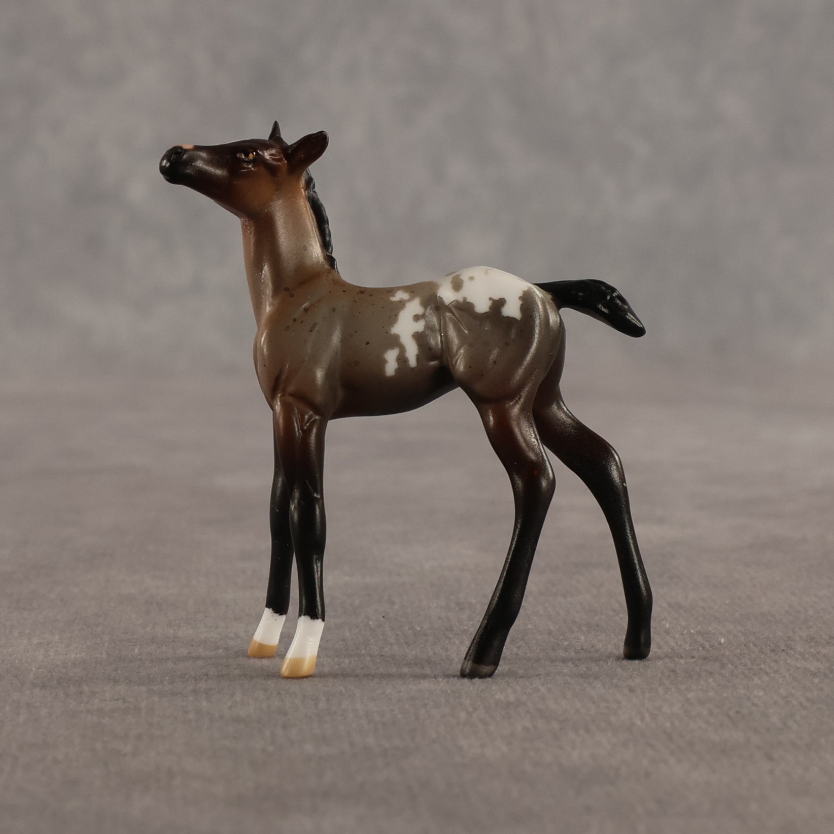Fancy & Show Stopper OOAK Chip FCM Stock Horse & Chip Foal by Anna Rieck SCD26