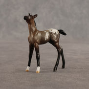 Fancy & Show Stopper OOAK Chip FCM Stock Horse & Chip Foal by Anna Rieck SCD26