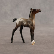 Fancy & Show Stopper OOAK Chip FCM Stock Horse & Chip Foal by Anna Rieck SCD26