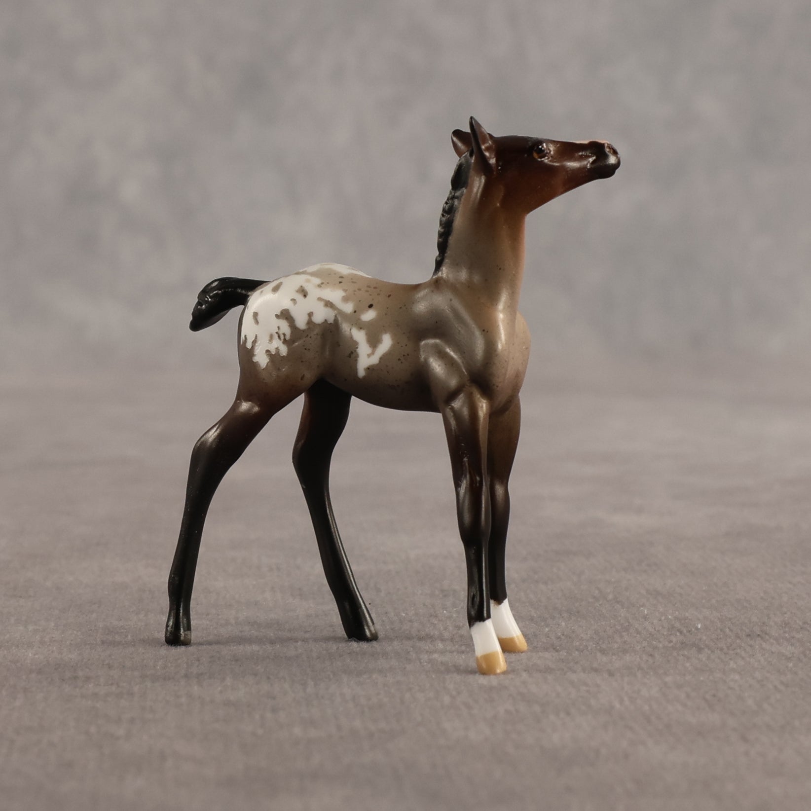 Fancy & Show Stopper OOAK Chip FCM Stock Horse & Chip Foal by Anna Rieck SCD26