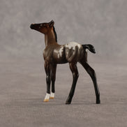 Fancy & Show Stopper OOAK Chip FCM Stock Horse & Chip Foal by Anna Rieck SCD26