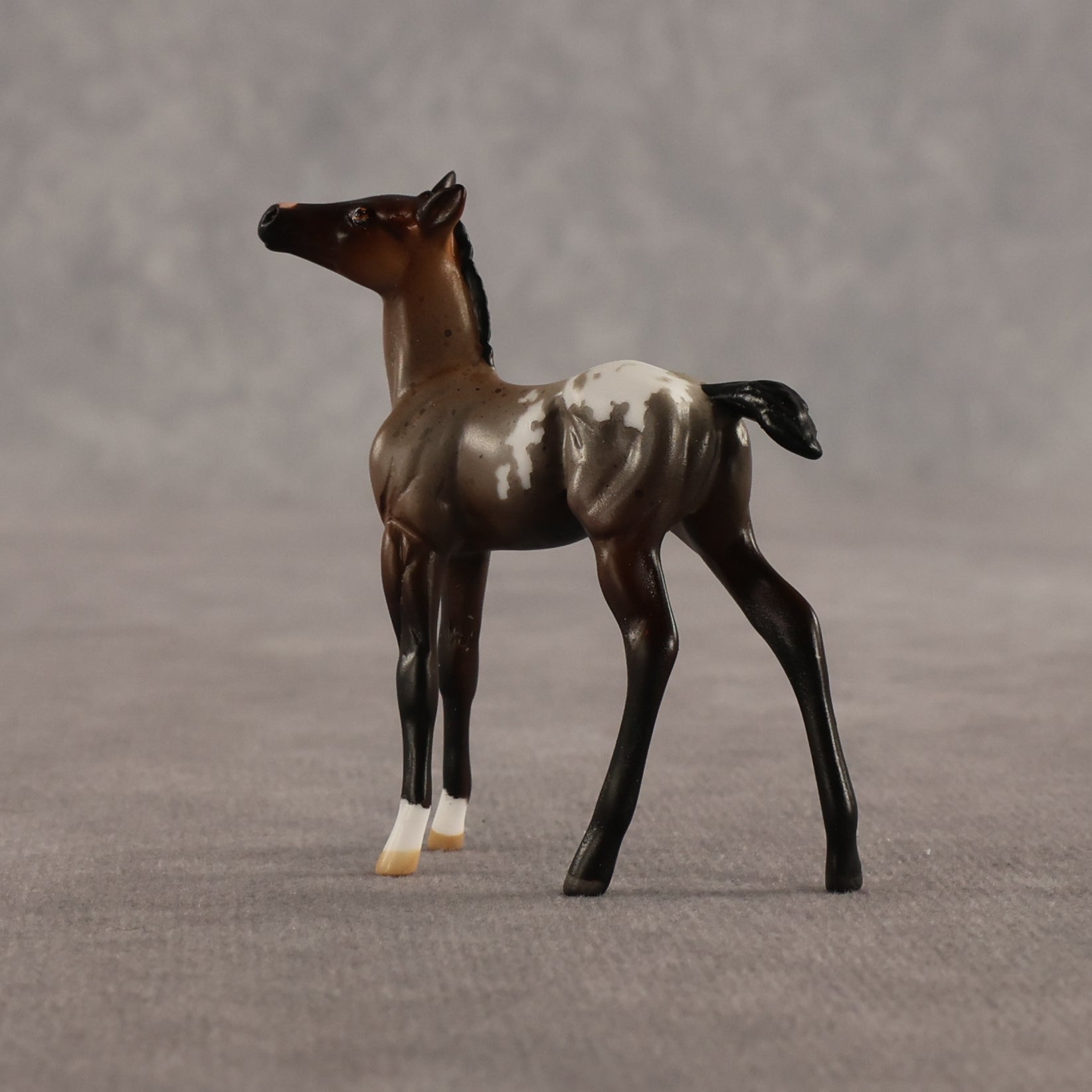 Fancy & Show Stopper OOAK Chip FCM Stock Horse & Chip Foal by Anna Rieck SCD26