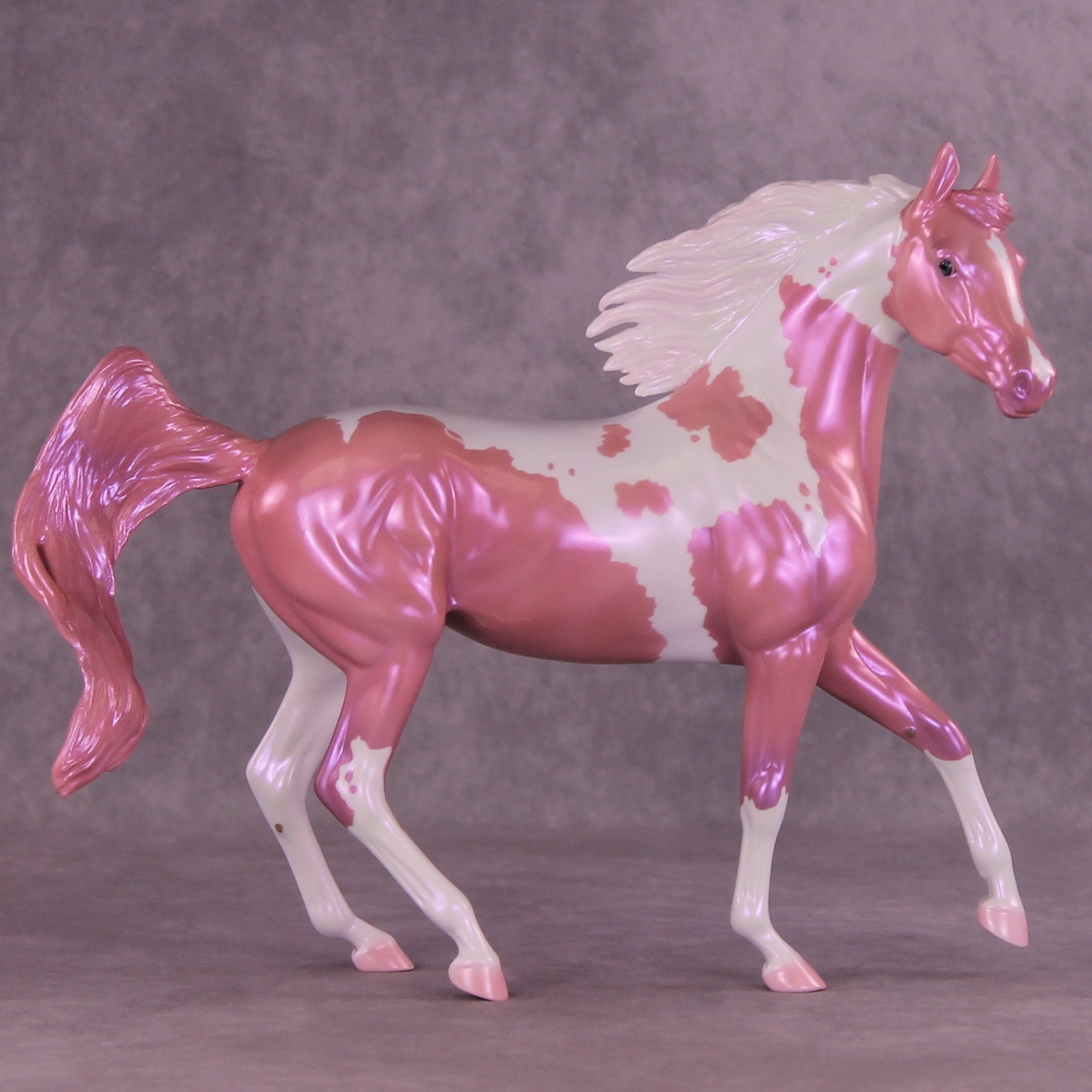 Showgirl OOAK Arabian Mare by Erin Corbett MM25 Group A