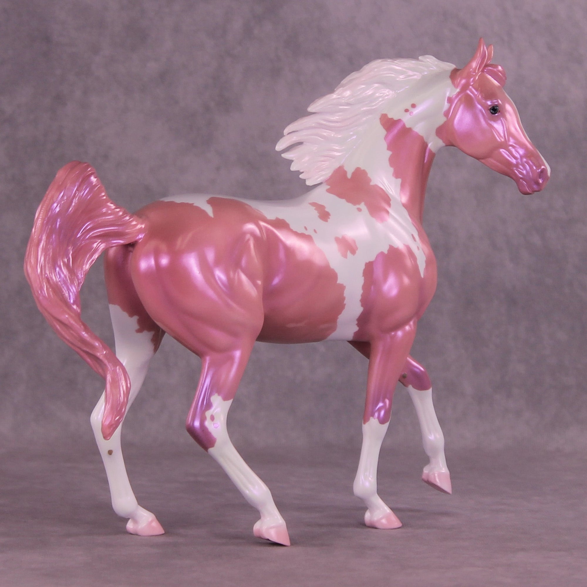 Showgirl OOAK Arabian Mare by Erin Corbett MM25 Group A