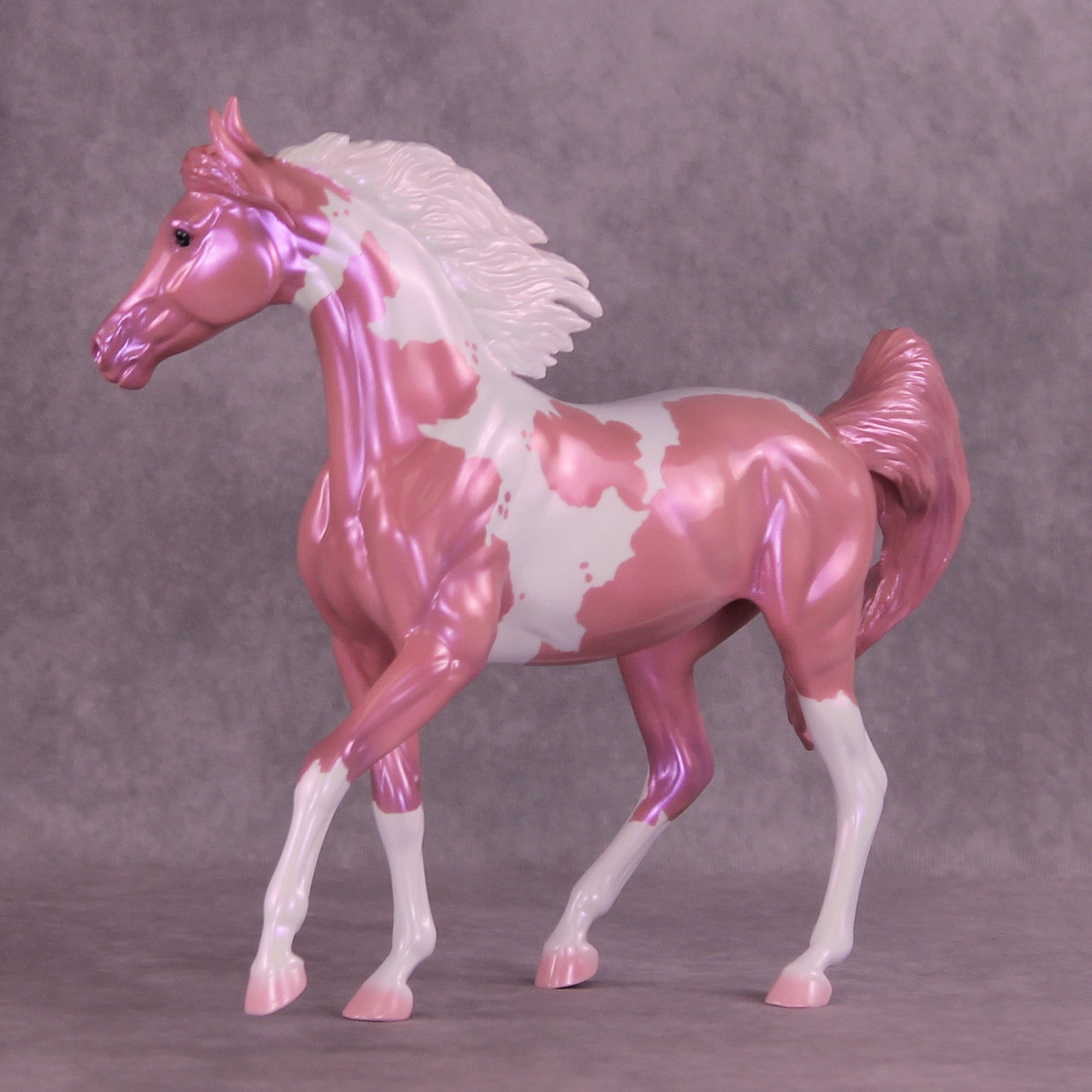 Showgirl OOAK Arabian Mare by Erin Corbett MM25 Group A
