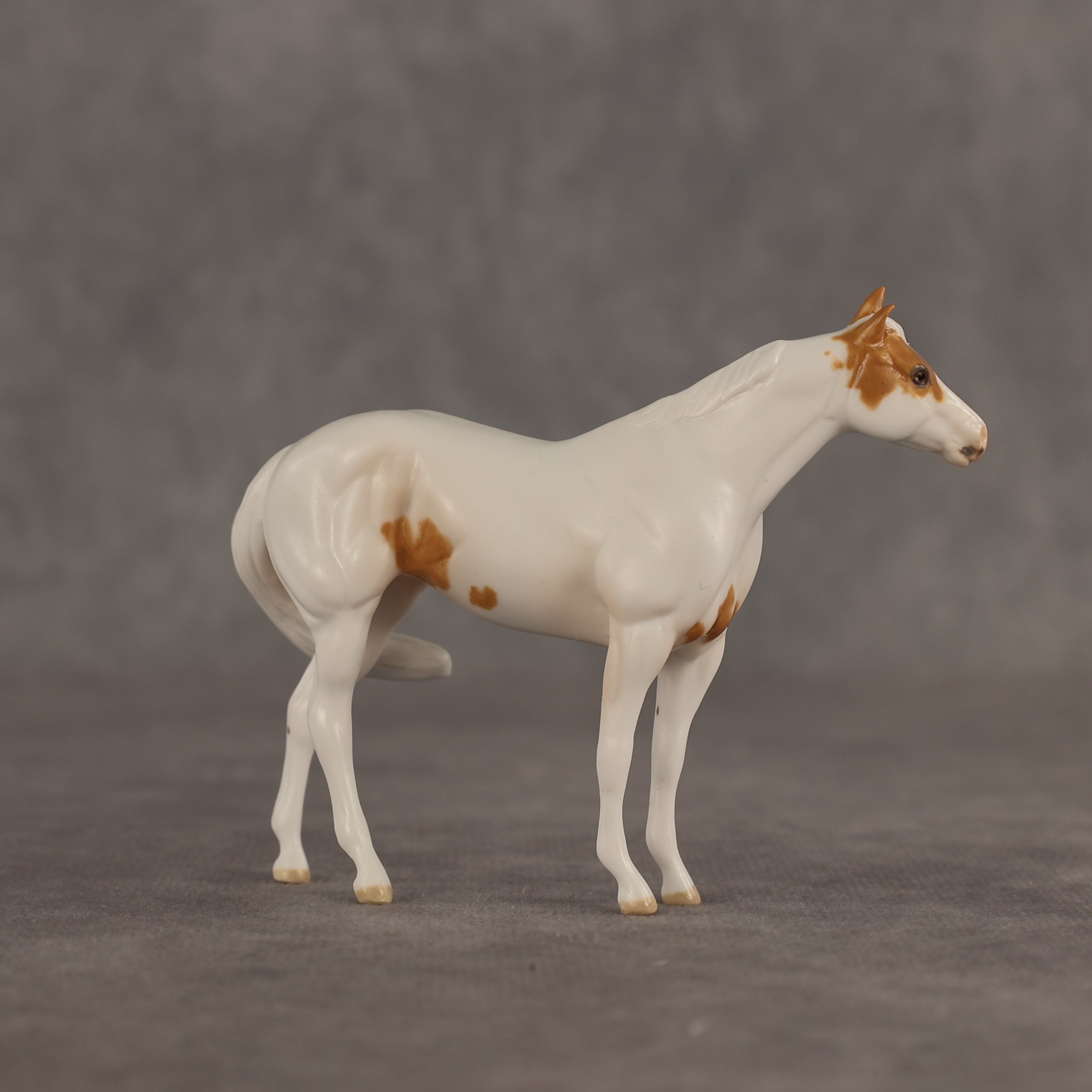 Shuttle Scuttle OOAK FCM Chip Stock Horse by Jess Hamill SHCF26