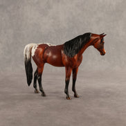 Silver Blaze OOAK Pebble Arabian Mare by Dawn Quick SHCF26