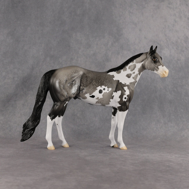 Silver Grit OOAK Ideal Stock Horse by Alex Fortman EQ26