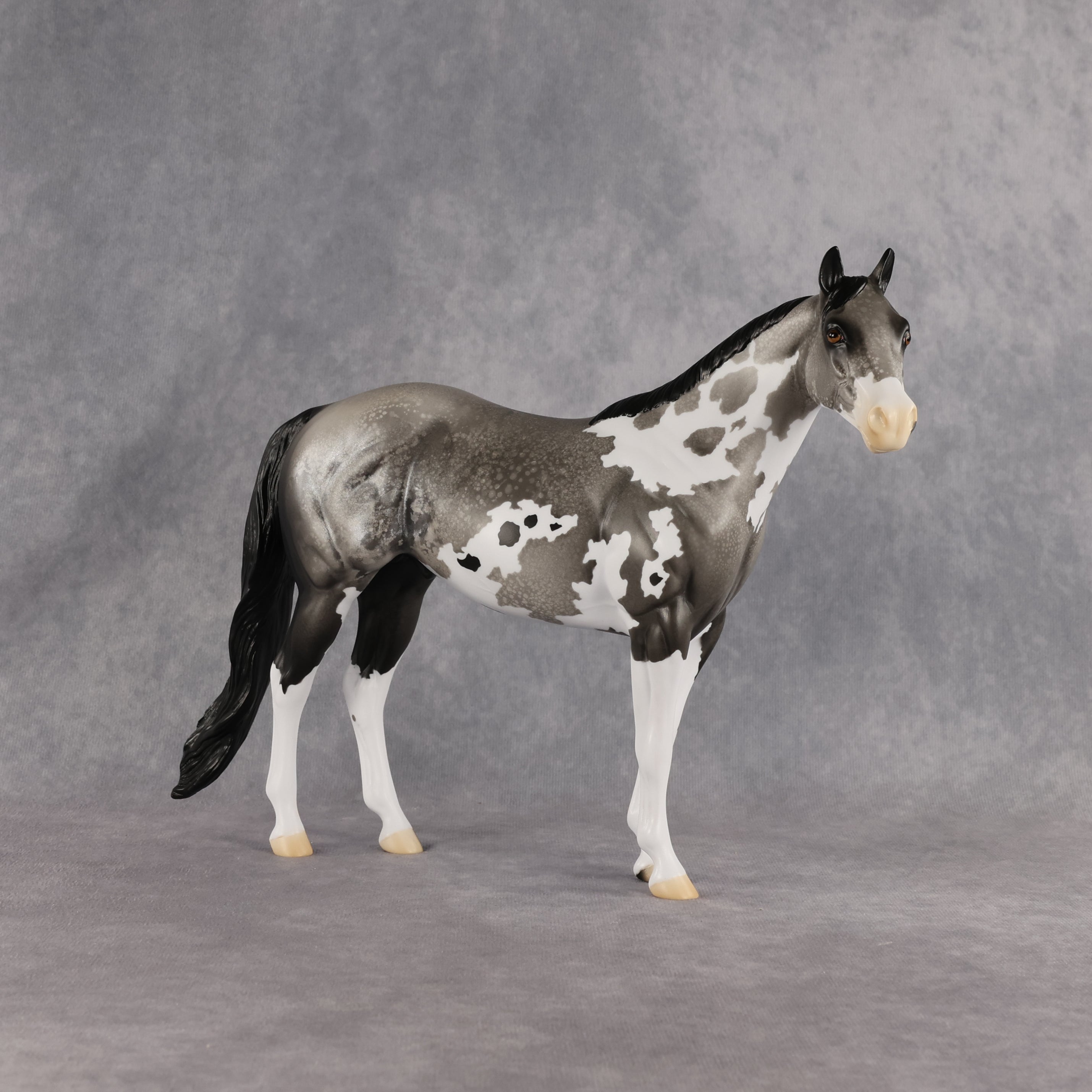 Silver Grit OOAK Ideal Stock Horse by Alex Fortman EQ26