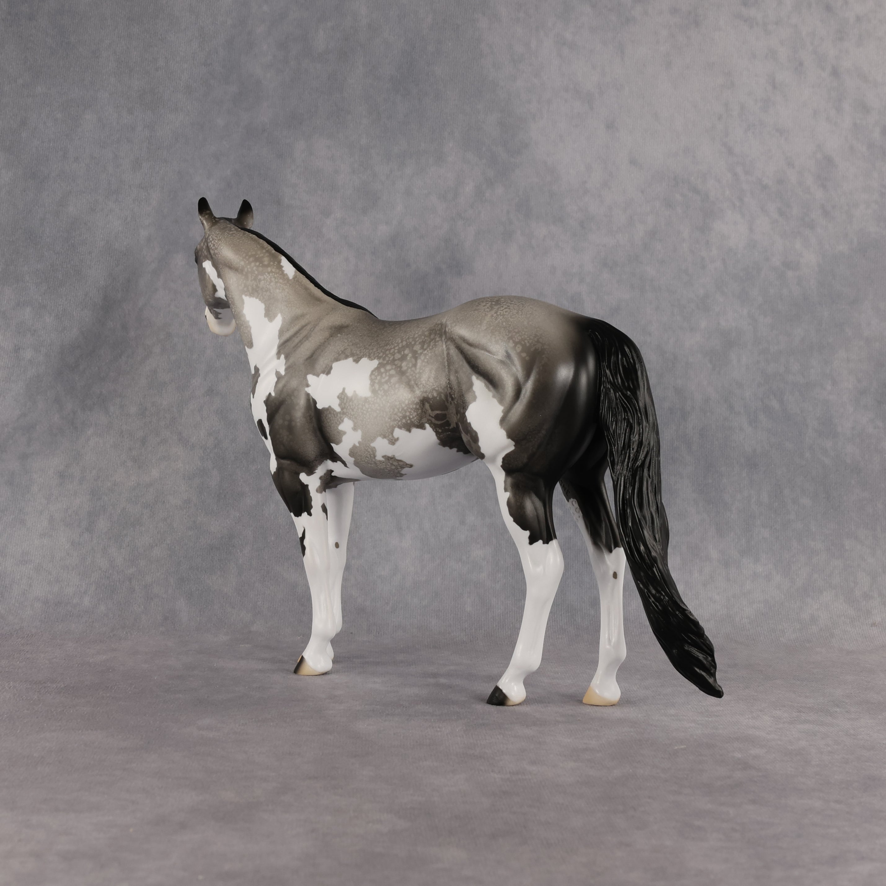 Silver Grit OOAK Ideal Stock Horse by Alex Fortman EQ26