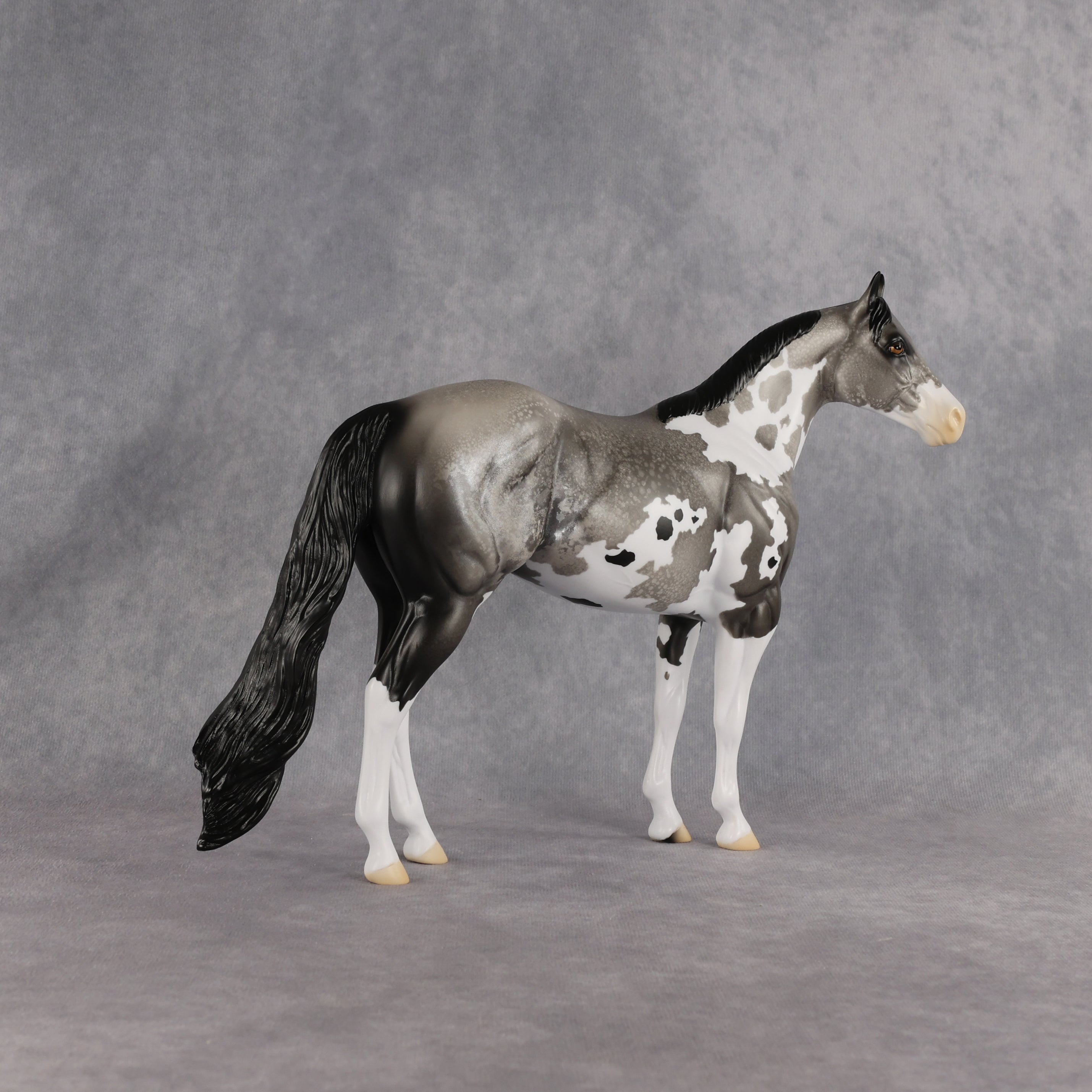 Silver Grit OOAK Ideal Stock Horse by Alex Fortman EQ26