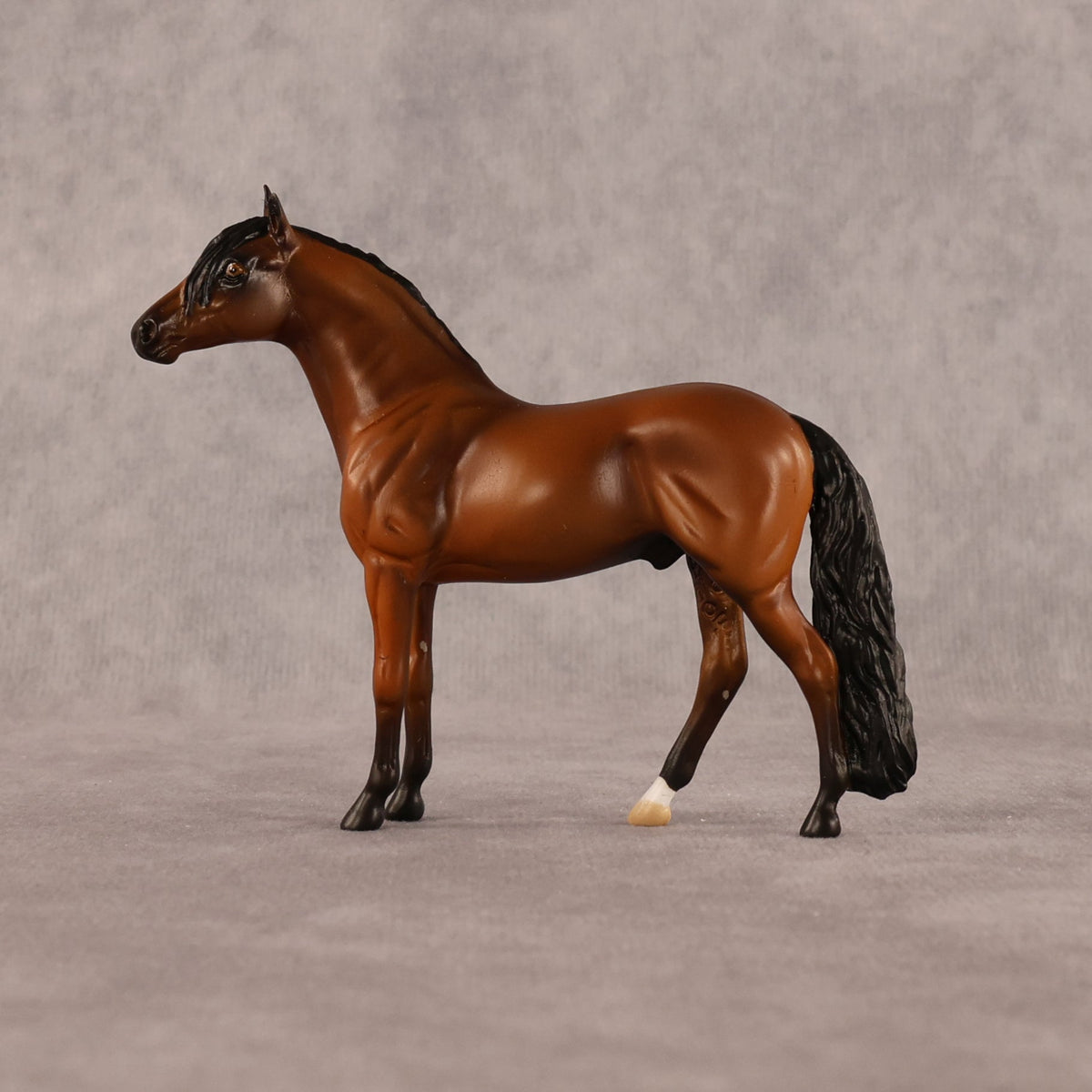 Simple Life OOAK Chip Andalusian by Alex Fortman LHS26