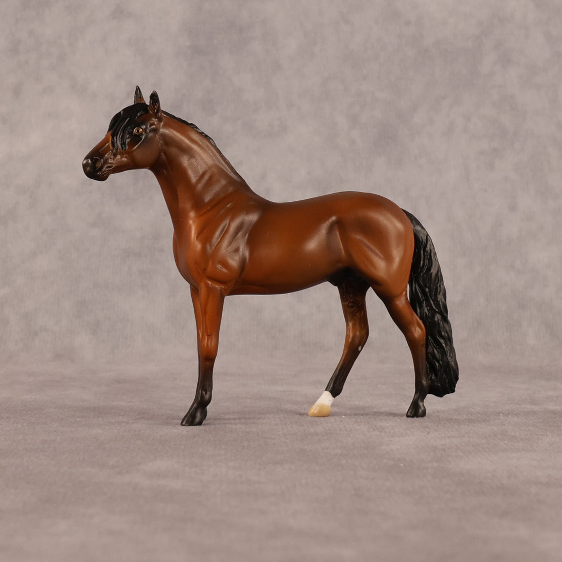 Simple Life OOAK Chip Andalusian by Alex Fortman LHS26