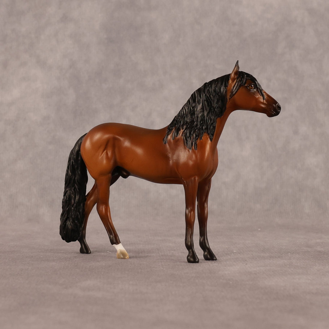 Simple Life OOAK Chip Andalusian by Alex Fortman LHS26