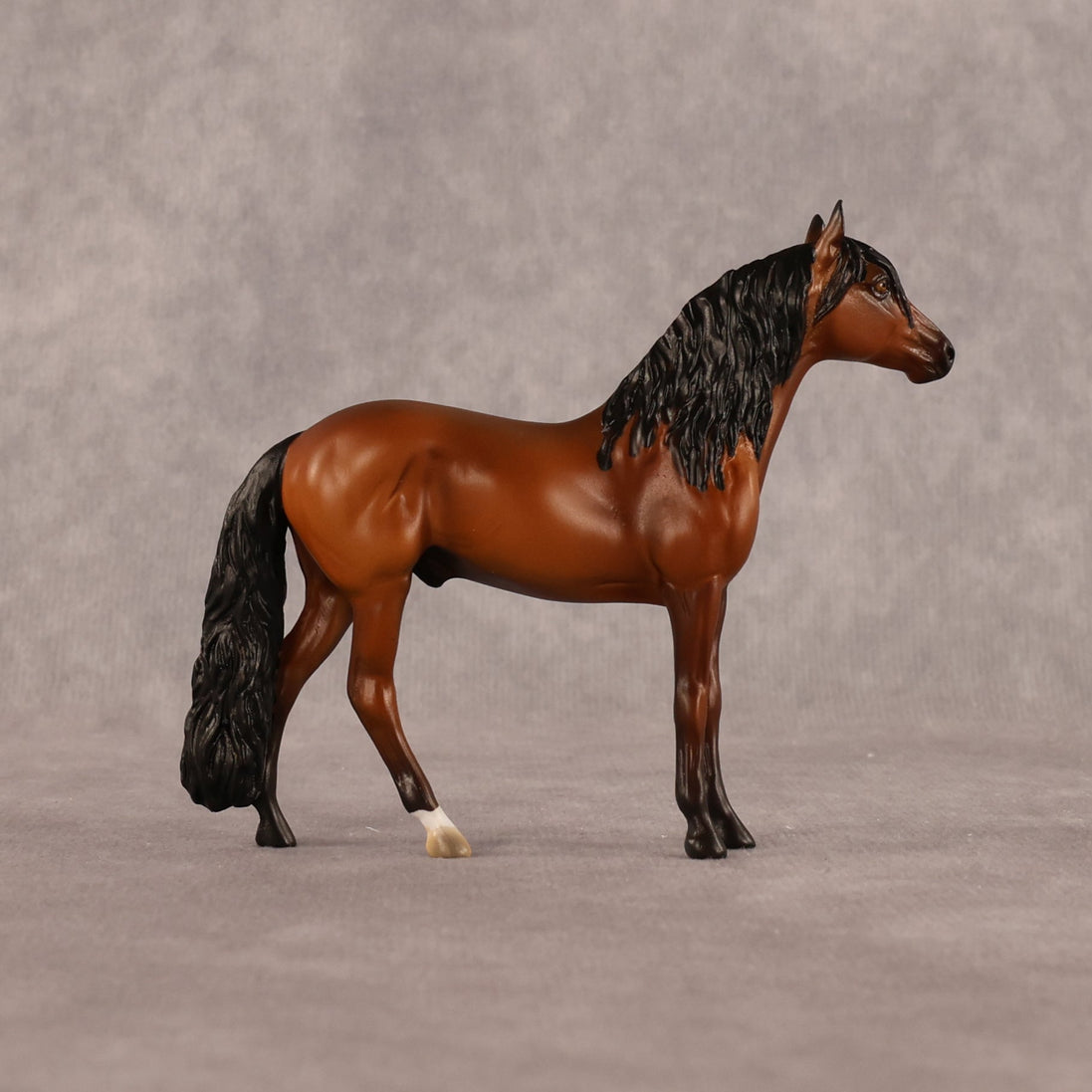 Simple Life OOAK Chip Andalusian by Alex Fortman LHS26