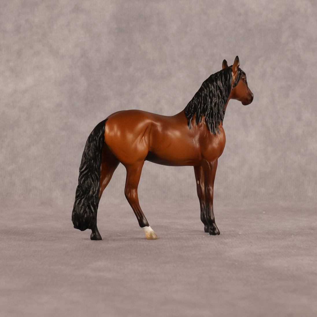 Simple Life OOAK Chip Andalusian by Alex Fortman LHS26
