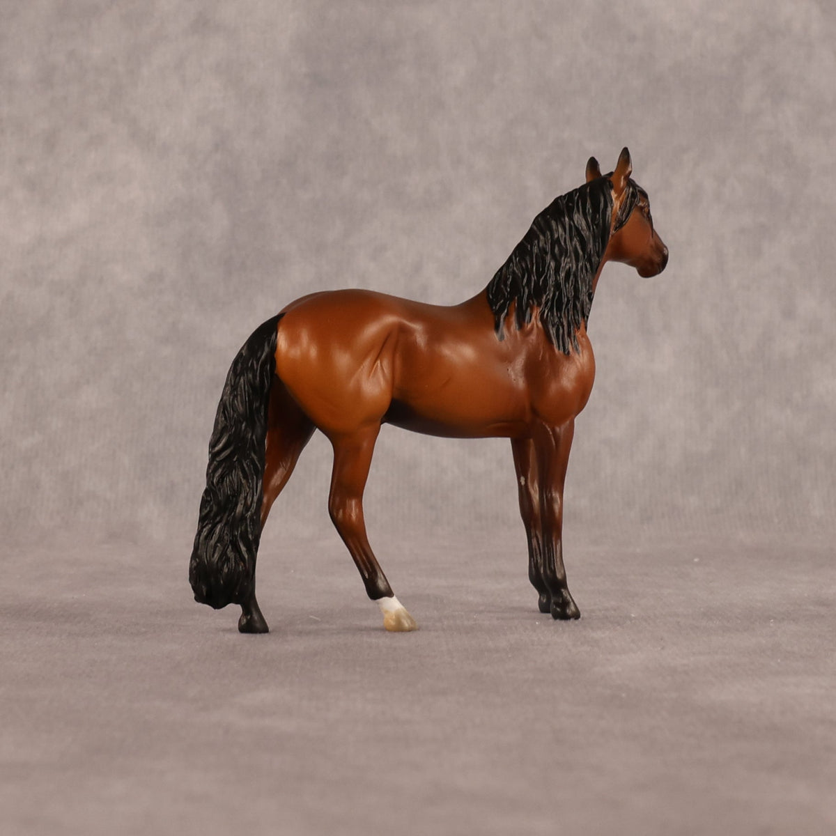 Simple Life OOAK Chip Andalusian by Alex Fortman LHS26