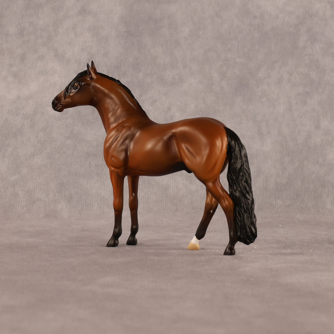 Simple Life OOAK Chip Andalusian by Alex Fortman LHS26