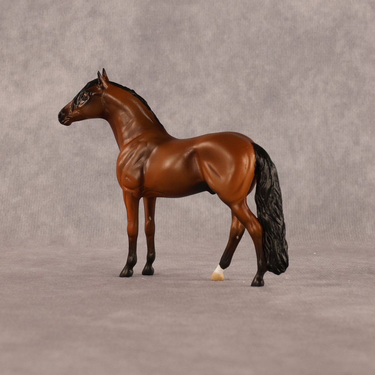 Simple Life OOAK Chip Andalusian by Alex Fortman LHS26