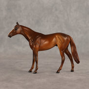 Sir-tips-a-lot OOAK Chip Thoroughbred  by Julie Keim SHCF26