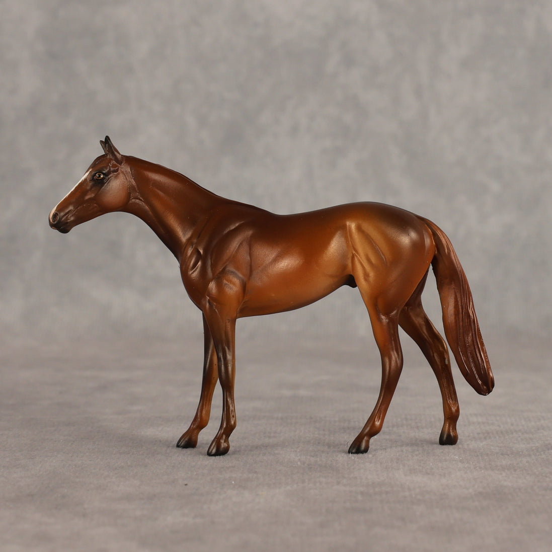 Sir-tips-a-lot OOAK Chip Thoroughbred  by Julie Keim SHCF26
