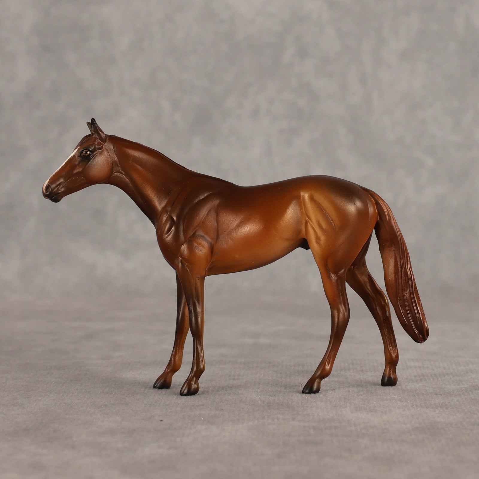 Sir-tips-a-lot OOAK Chip Thoroughbred  by Julie Keim SHCF26