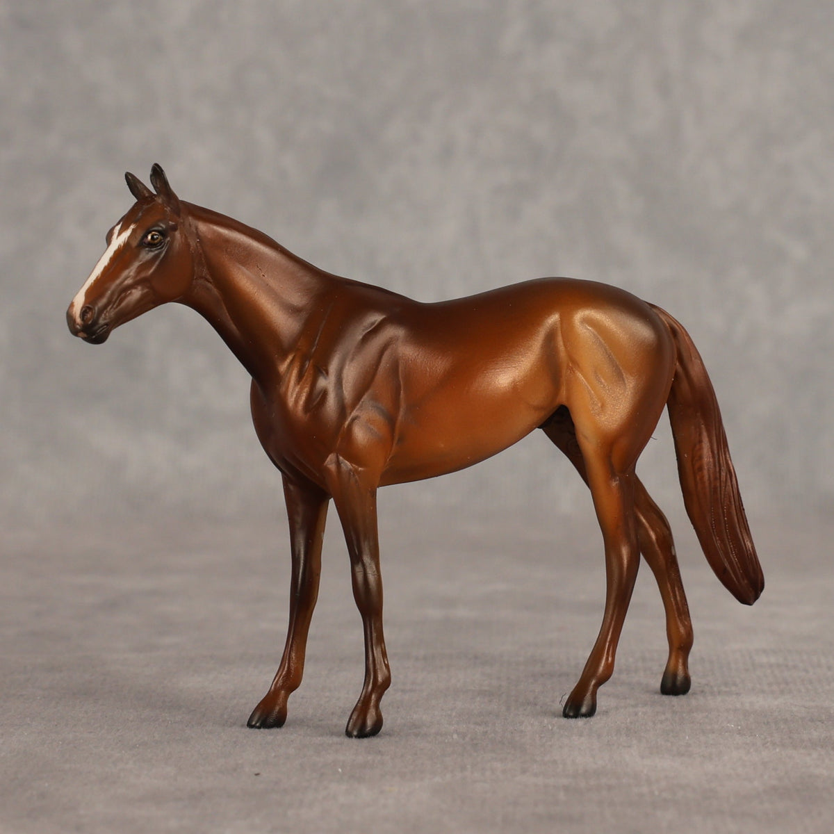 Sir-tips-a-lot OOAK Chip Thoroughbred  by Julie Keim SHCF26